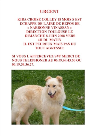 kIBA Echapp aire d'autoroute de narbonne-vinassane (11) Affich11