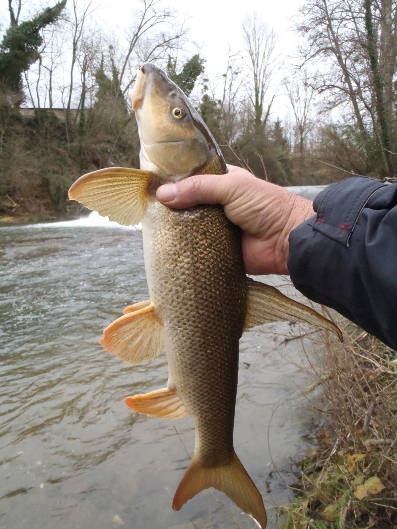 VOTRE PECHE DE DECEMBRE - Page 9 Pc310010