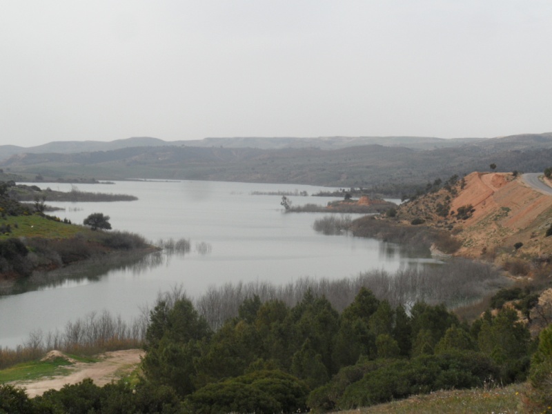 le grand barrage de "chorfa" à mascar prés de sig (inja'zate bouteflika) Sam_2213