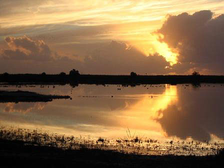 La rserve naturelle du Marais d'Yves 3_couc10