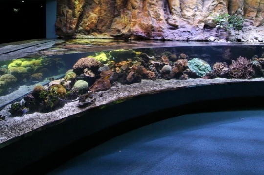 Aquarium de La Rochelle 49926_10