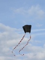 Cerf-volant Cerf_v11