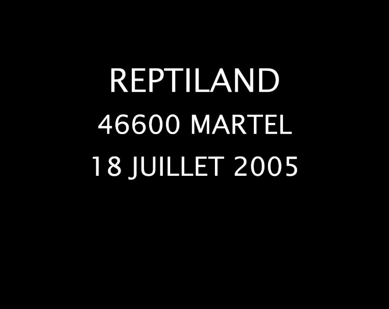 reptiland 205 Im_a0175