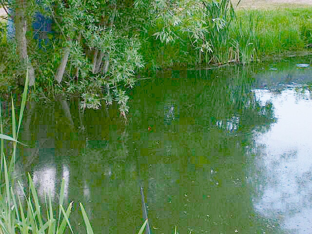 Quand la nature s'emmêle .. euh s'en mêle pardon !!! 114