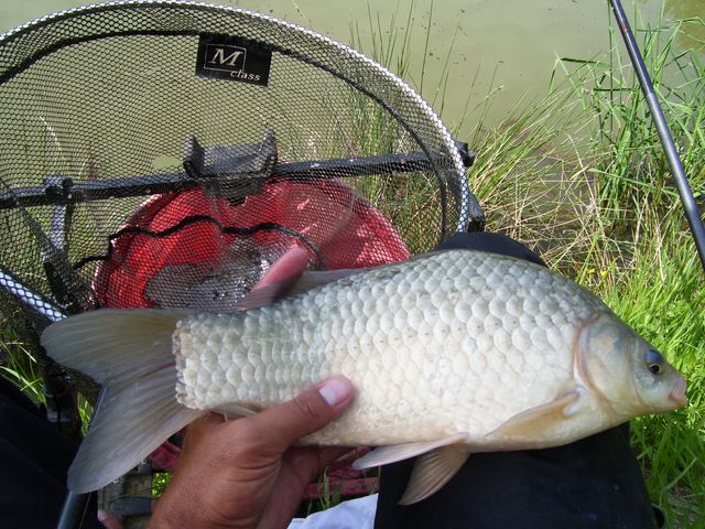 3 jours de pêches !!!! quoi de mieux !!! 3010