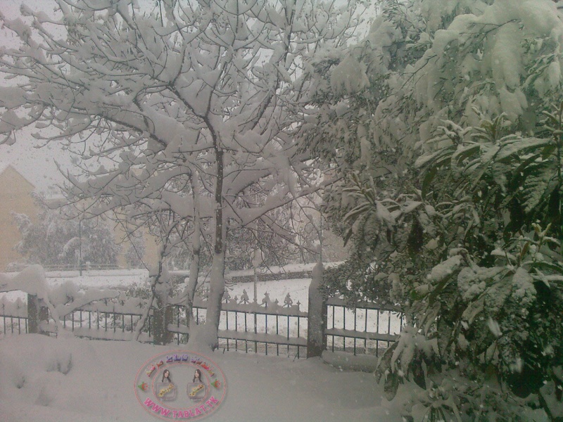 الثلوج تكسو مدينة تابلاط بأحلى حلة Photos18