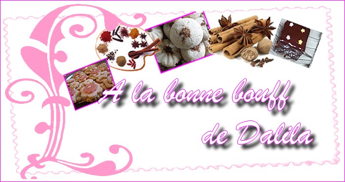 BANNIERE°°POUR°°MON°°BLOG Sans_t90