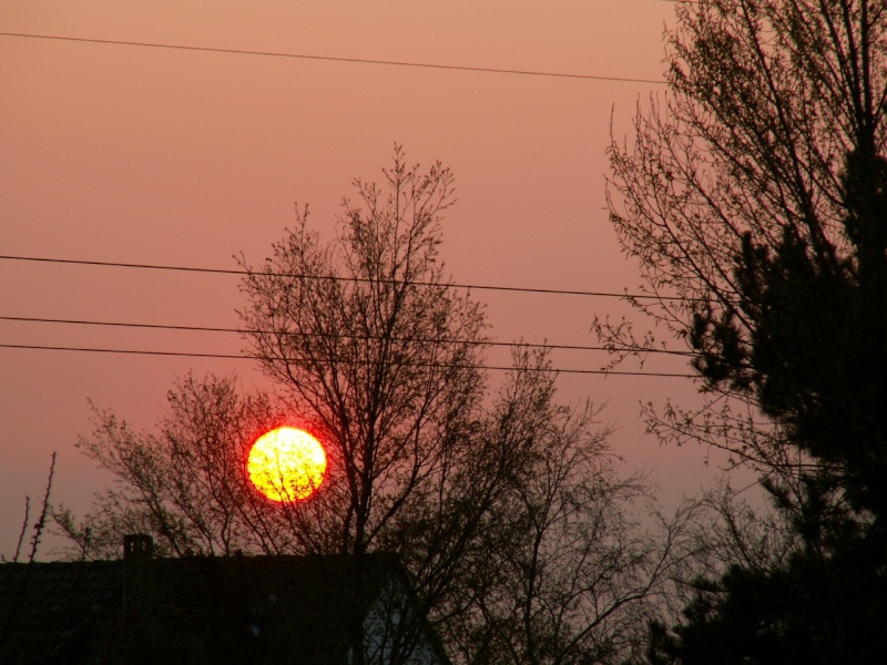 Coucher de soleil Pict0027