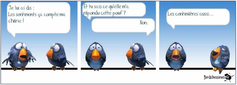 birds dessines‏ Image019