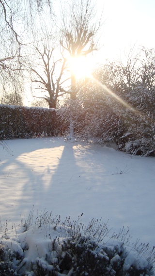 [Calendrier de l'Avent] La tempête et alors, la neige pour Noël ? Dsc04010