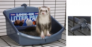 furet propre - Page 2 300x1510