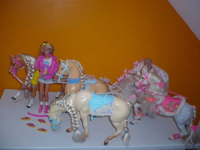 Les Barbie et Ken de Samarian P1110814