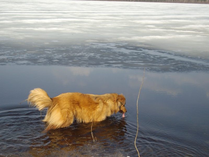 Le Petou et son Lac Animau61