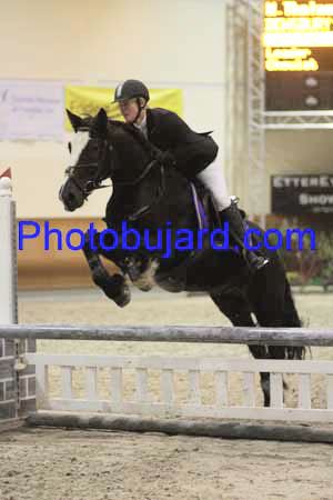 Dancer cheval irish cob (sport) Ch101110