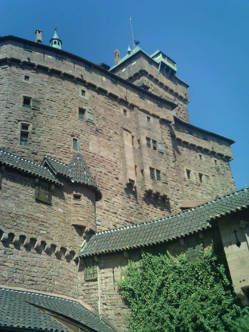 Le château du Haut-Koenigsbourg Imag0111