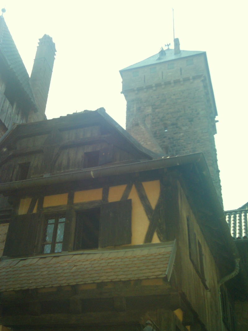 Le château du Haut-Koenigsbourg Imag0124