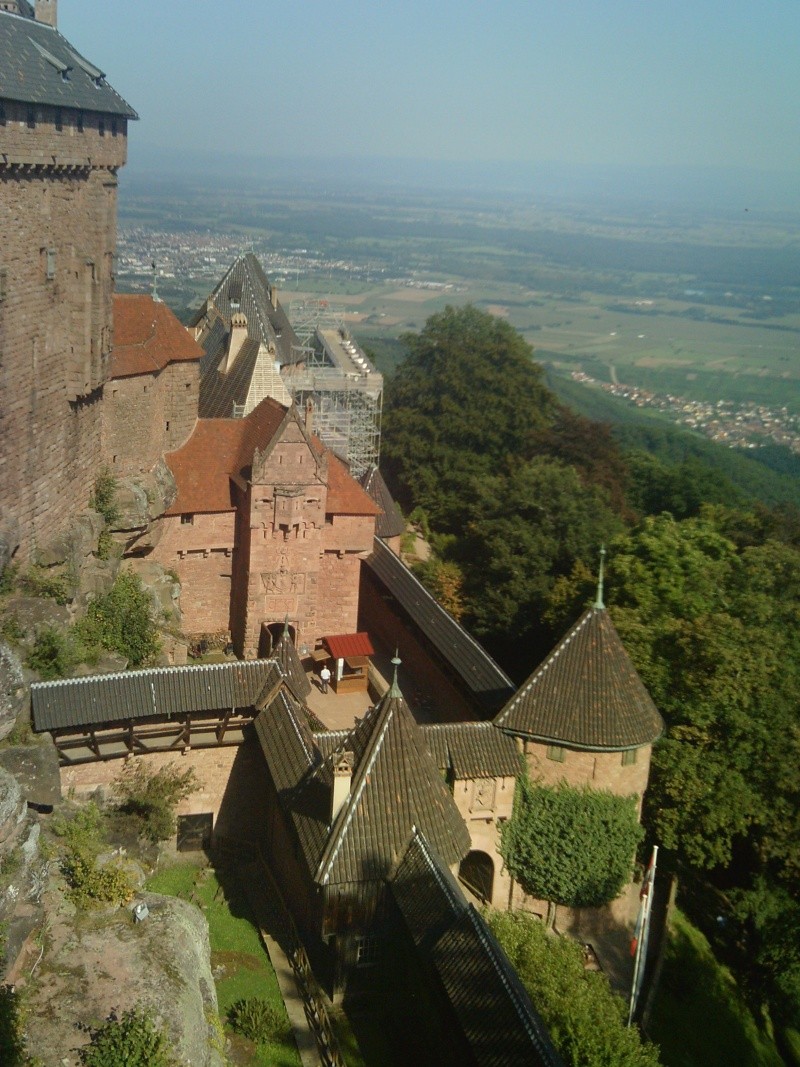Le château du Haut-Koenigsbourg Imag0132