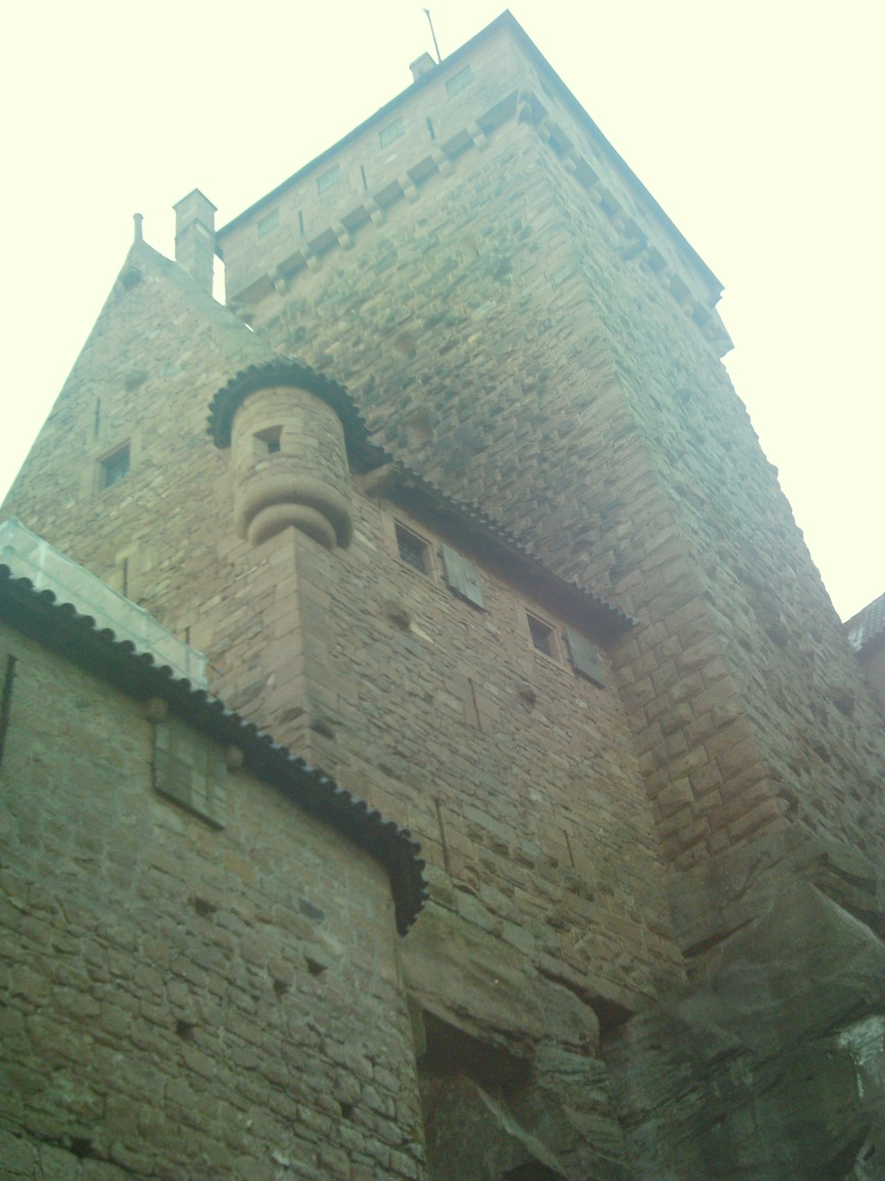 Le château du Haut-Koenigsbourg Imag0133