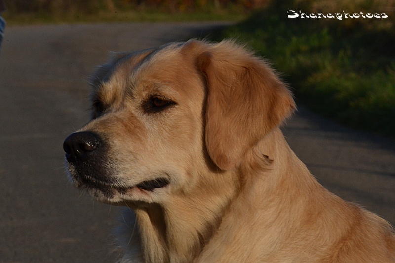 Mes deux folles + Didile :p Dsc_0090