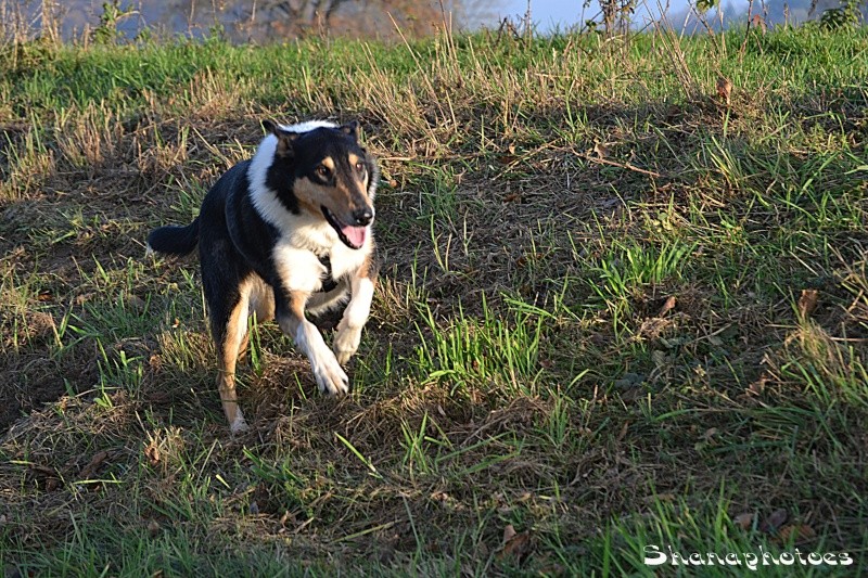 Mes deux folles + Didile :p Dsc_0101