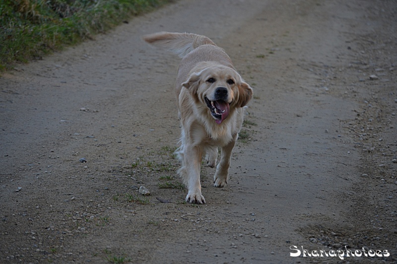 Mes deux folles + Didile :p Dsc_0134