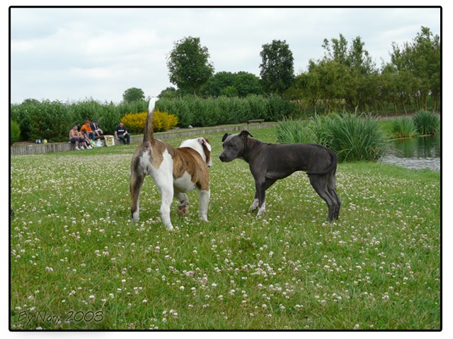 Ballade du 29 juin 2008 New10