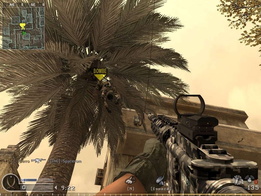 La bombe dans le palmier !!??...(@@) Shot0016