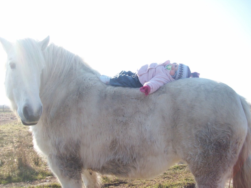 Concours Photo Novembre : Le Cheval et l'Humain, en toute Complicité 8_mars10