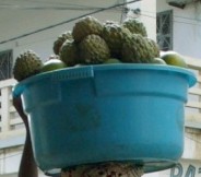[ARCHIVÉ] DIÈGO SUAREZ - TOME 004 Fruits10