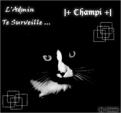 Champi Cham11