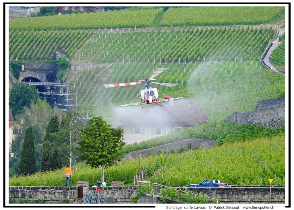 sulfatage des vignes sur le lavaux Dsc_8115