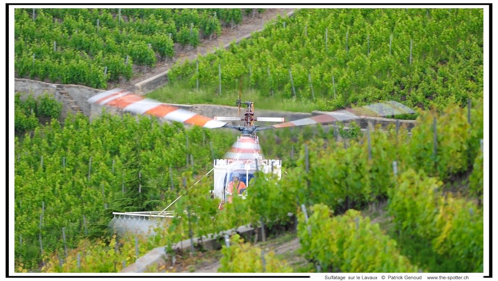 sulfatage des vignes sur le lavaux Dsc_8321