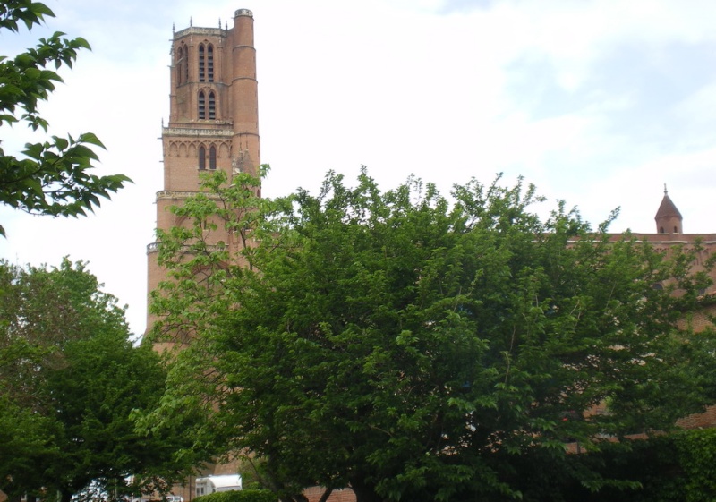 REVENIR D'ALBI AVEC ENCORE AU MOINS UN POINT D'AVANCE... Imgp1127