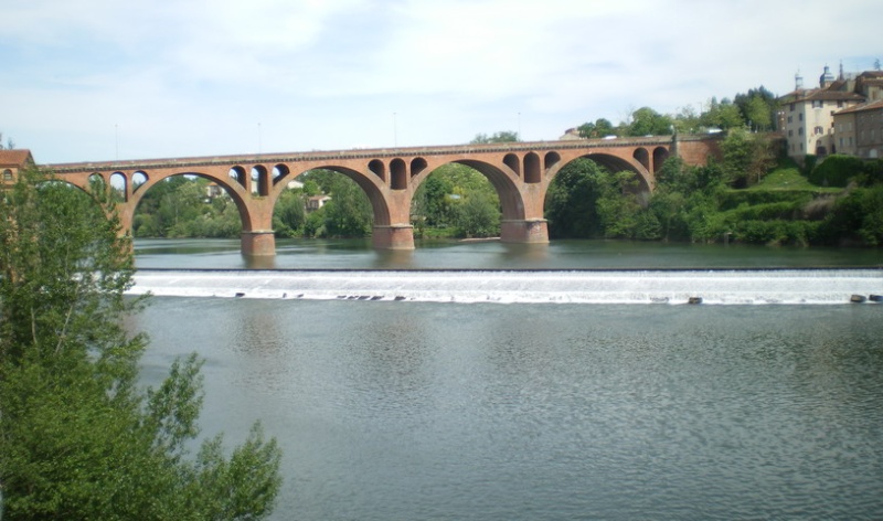 REVENIR D'ALBI AVEC ENCORE AU MOINS UN POINT D'AVANCE... Imgp1155