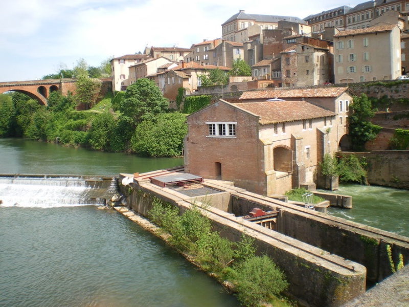 REVENIR D'ALBI AVEC ENCORE AU MOINS UN POINT D'AVANCE... Imgp1161