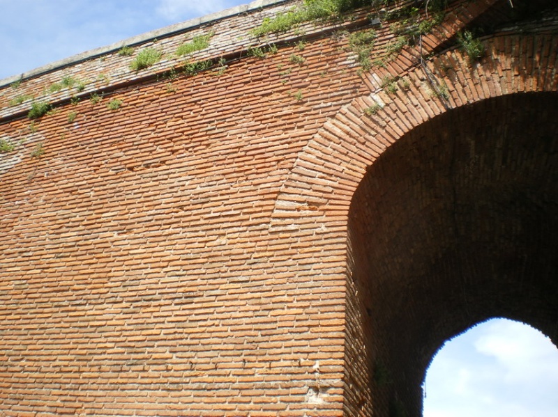 REVENIR D'ALBI AVEC ENCORE AU MOINS UN POINT D'AVANCE... Imgp1166