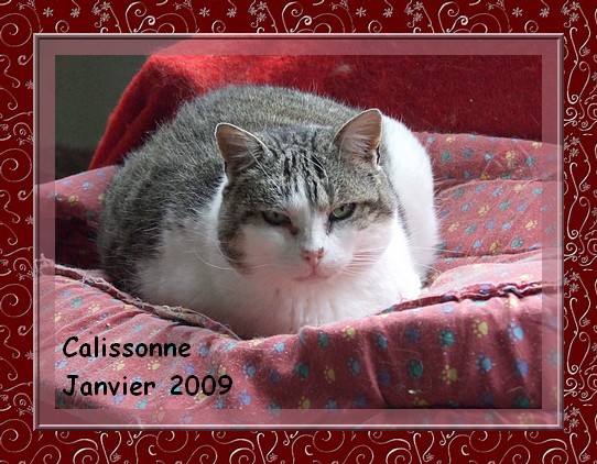 Calissonne, et Princesse Caliss10