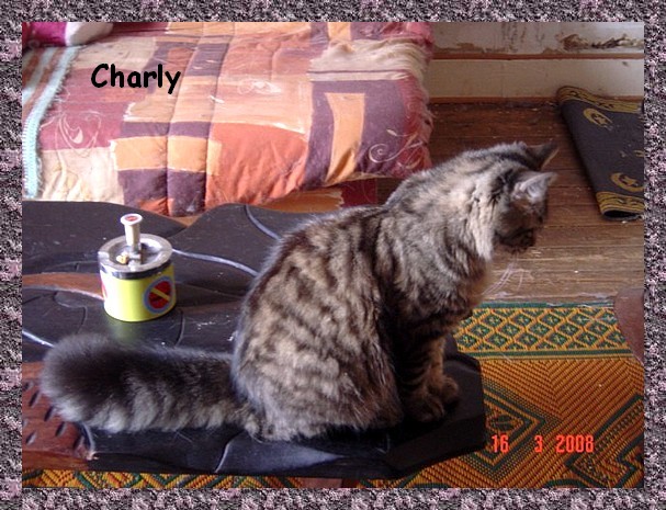 charly Charly10