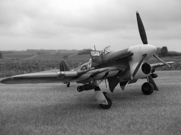 HAWKER Typhoon (HASEGAWA 1/48°) Dscf0813