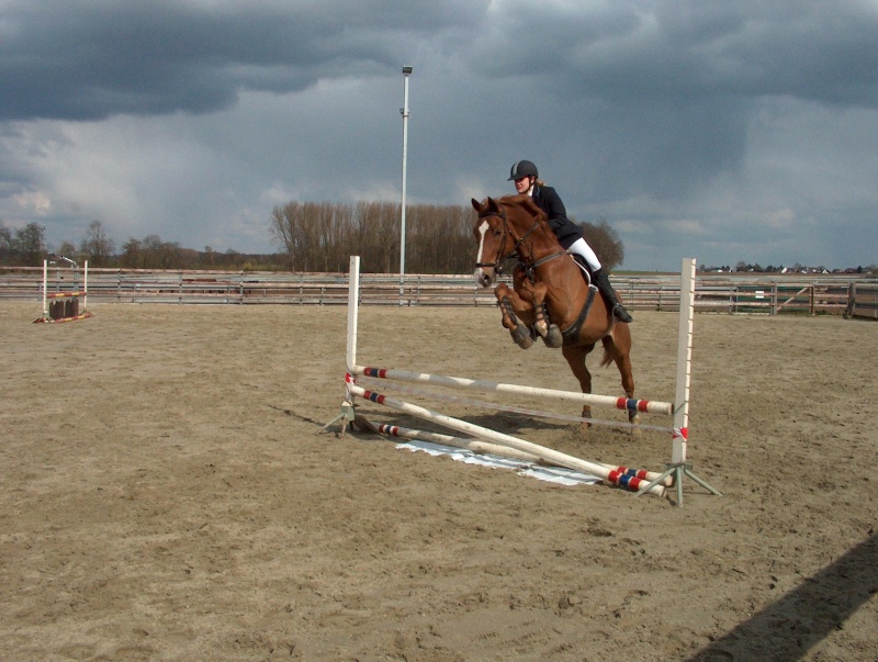 Jumping HP-6 avril 2008 80_cm_42