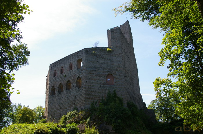 Le Château de Spesbourg Imgp2619