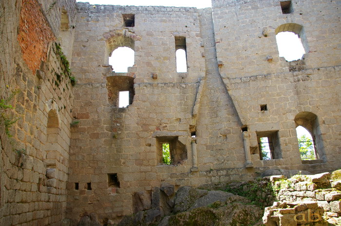 Le Château de Spesbourg Imgp2621