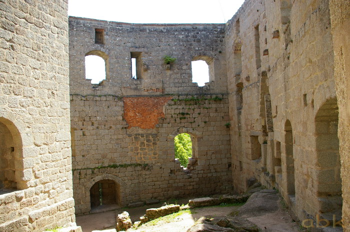 Le Château de Spesbourg Imgp2713