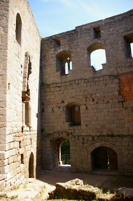 Le Château de Spesbourg Imgp2714