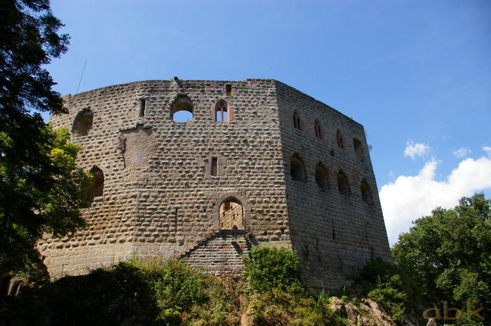 Le Château de Spesbourg Imgp2717