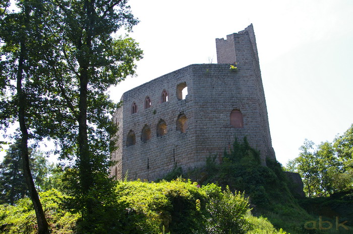 Le Château de Spesbourg Imgp2718