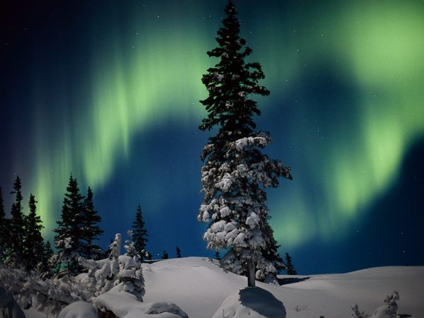 Đêm đông ở Churchill, Canada đẹp huyền ảo với cực quang  Aurora12