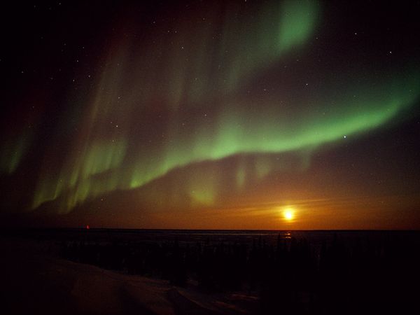 Đêm đông ở Churchill, Canada đẹp huyền ảo với cực quang  Aurora13