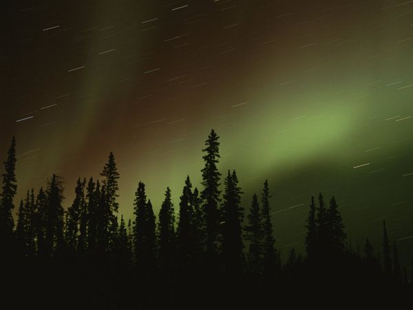 Đêm đông ở Churchill, Canada đẹp huyền ảo với cực quang  Canada10