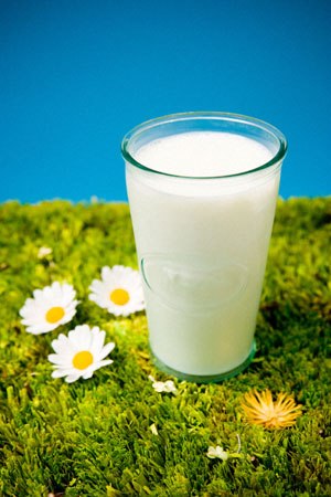 Uống sữa để tăng cường trí não Mot-ly10